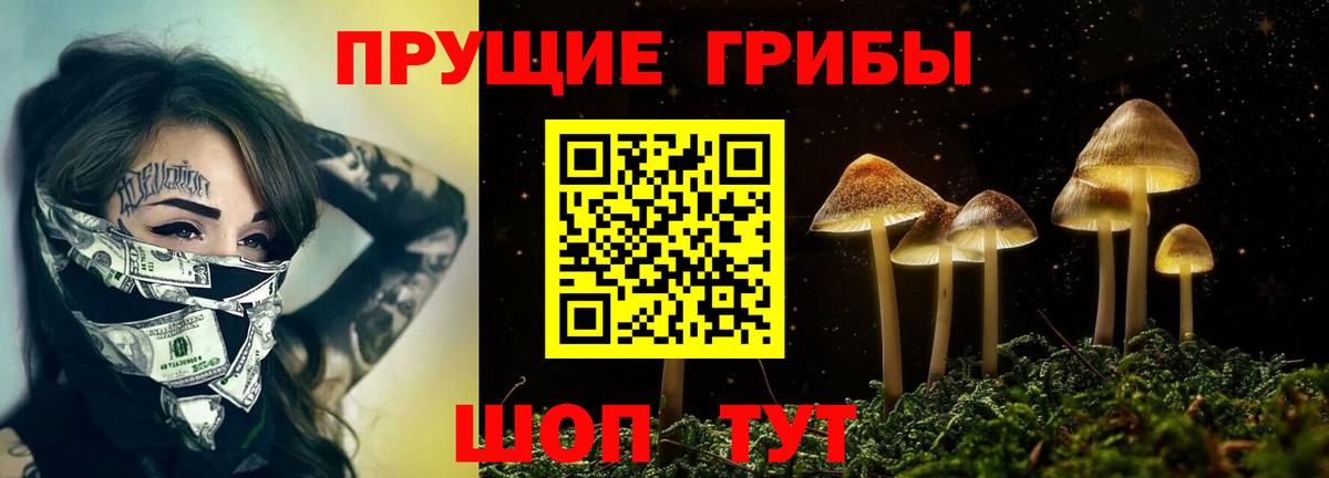 купить наркотик  Галлюциногенные грибы прущие грибы  Якутск  Вход с VPN  Псилоцибиновые грибы Psilocybe 